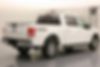1FTEW1EP1GFA62126-2016-ford-f-150-2