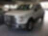 1FTEW1EF9FKD14413-2015-ford-f-150-0
