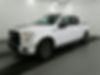1FTEW1EPXFKD45503-2015-ford-f-series