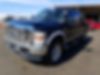 1FTSW2BR8AEA68579-2010-ford-f-series-0