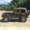 1J4FY19P8SP294471-1995-jeep-wrangler-0