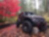 1C4HJWDG5FL609358-2015-jeep-wrangler-0