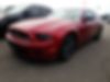 1ZVBP8AM7D5215837-2013-ford-mustang-0