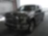 1FTEW1EP1GFA74311-2016-ford-f-150-0