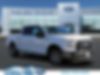 1FTEW1CG6FKD02456-2015-ford-f-150-0