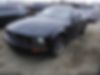 1ZVHT80N885139079-2008-ford-mustang-1
