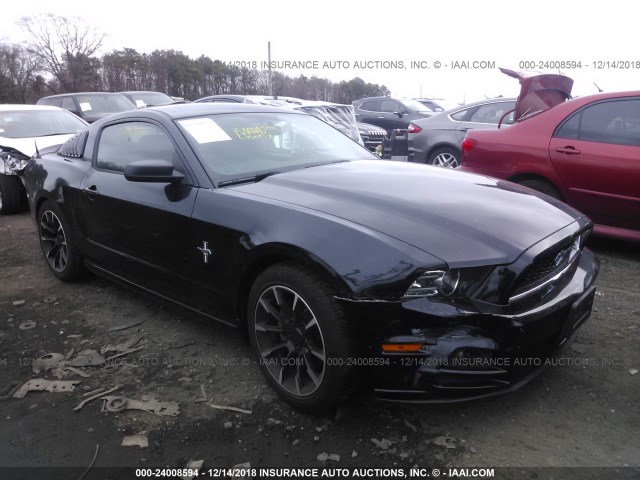 1ZVBP8AM9E5303094-2014-ford-mustang-0
