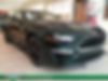 1FA6P8K01K5502612-2019-ford-mustang