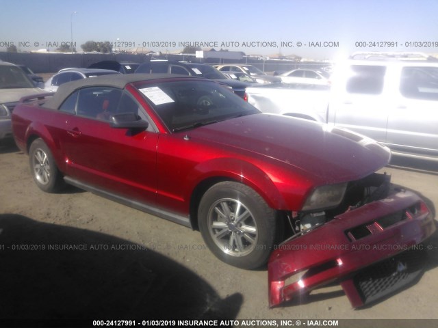 1ZVFT84N655204167-2005-ford-mustang-0