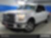 1FTEW1CP4FKE82424-2015-ford-f-series-0