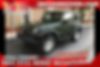 1J4FA241X9L710177-2009-jeep-wrangler