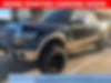 1FTFW1ET5DKD24573-2013-ford-f-150-0
