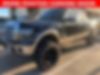 1FTFW1ET5DKD24573-2013-ford-f-150