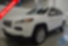 1C4PJLCBXGW356165-2016-jeep-cherokee