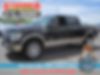 1FTFW1ET5DKF13868-2013-ford-f-150-0