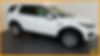 SALCR2BGXGH554918-2016-land-rover-discovery-sport-0