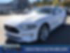 1FA6P8TH4K5124256-2019-ford-mustang