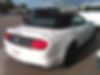 1FATP8UH9K5104621-2019-ford-mustang-1