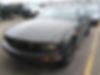 1ZVHT80N675200217-2007-ford-mustang-0
