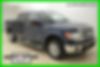 1FTFW1CT1DFB30330-2013-ford-f-150-0