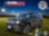 ZACCJABT1GPC44994-2016-jeep-renegade-0