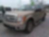 1FTFW1EF9DKD45422-2013-ford-f-series-0