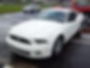 1ZVBP8AM2D5210674-2013-ford-mustang