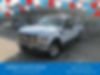 1FTSX2B52AEB36157-2010-ford-f-250-0