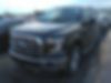 1FTEW1EFXGFA13014-2016-ford-f-series