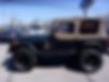 1J4FY49S9RP469987-1994-jeep-wrangler-2