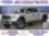 1FTFW1R65DFB44412-2013-ford-f-150-1