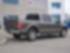 1FTEW1EP6HFB10527-2017-ford-f-150-2