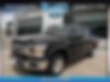 1FTEW1C56JKD83806-2018-ford-f-150-0