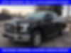 1FTEX1EP8FFD04356-2015-ford-f-150-1
