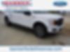 1FTEW1E54JFE69668-2018-ford-f-150-0