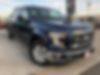 1FTEW1CPXGKE46318-2016-ford-f-150