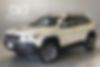 1C4PJMBX5KD313831-2019-jeep-cherokee