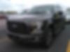 1FTEW1EP6GFB14382-2016-ford-f-series