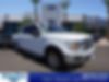 1FTEW1CP7KKD13427-2019-ford-f-150-0