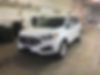 2FMPK4J94KBB13654-2019-ford-edge-2