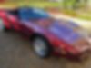 1G1YY3188K5101044-1989-chevrolet-corvette-1