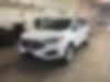 2FMPK4J94KBB13654-2019-ford-edge-0