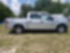 1FTEW1CP0KFB01154-2019-ford-f-150-2