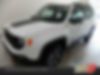 ZACNJBC12KPK13528-2019-jeep-renegade