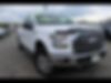 1FTEX1EP3FFB09202-2015-ford-f-150-2