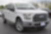 1FTEW1EF4GFA10075-2016-ford-f-150-0