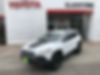 1C4PJMBX3JD525917-2018-jeep-cherokee-0