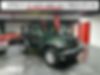 1J4AA2D19AL194134-2010-jeep-wrangler-2