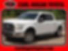 1FTEW1EF4GFC65518-2016-ford-f-150-0