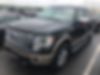 1FTFW1ET7DFD54019-2013-ford-f-150-0
